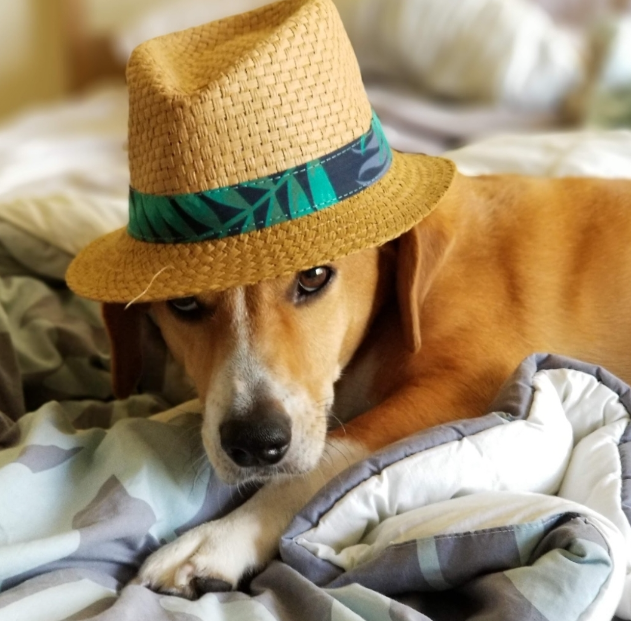 Jason Tur profile photo